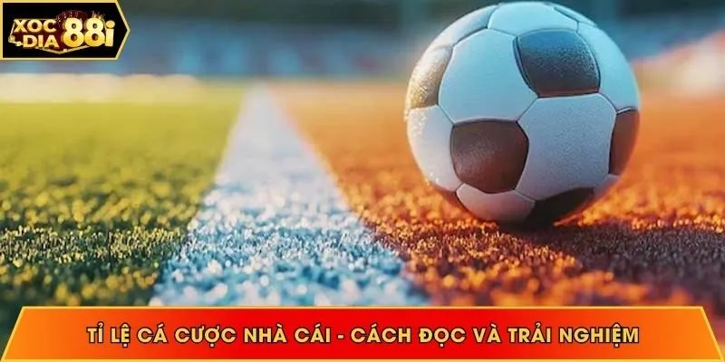 Tỉ lệ cá cược nhà cái